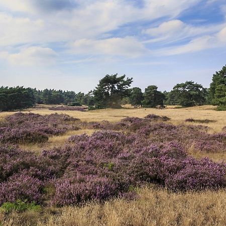 Chalet Op De Veluwe # Berk Putten Zewnętrze zdjęcie