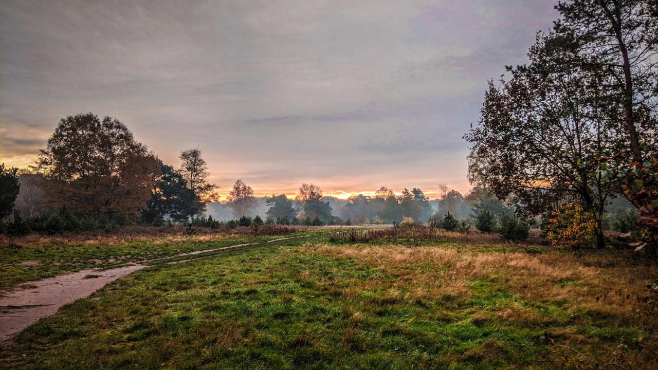 Chalet Op De Veluwe # Berk Putten Zewnętrze zdjęcie