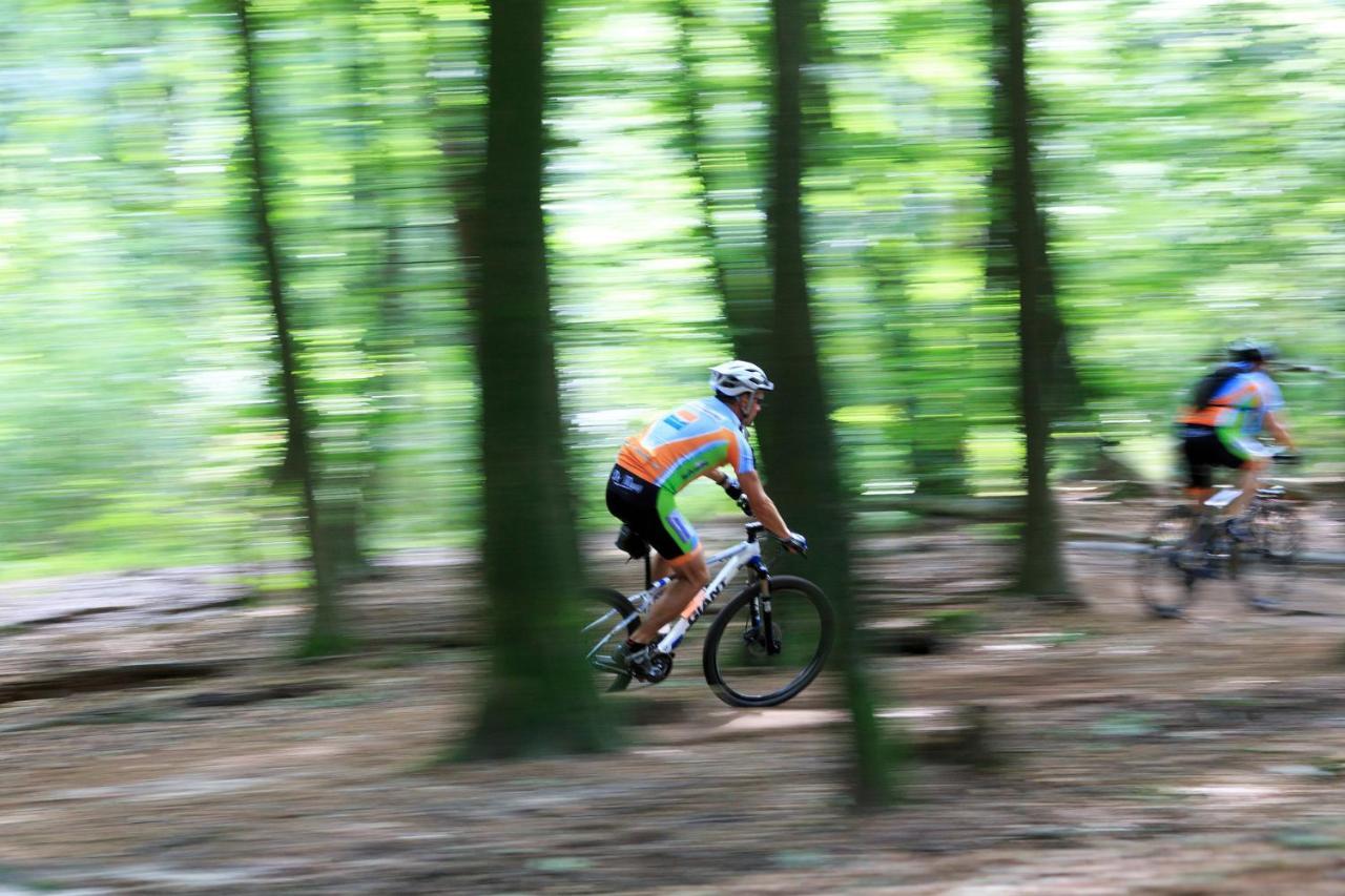 Chalet Op De Veluwe # Berk Putten Zewnętrze zdjęcie