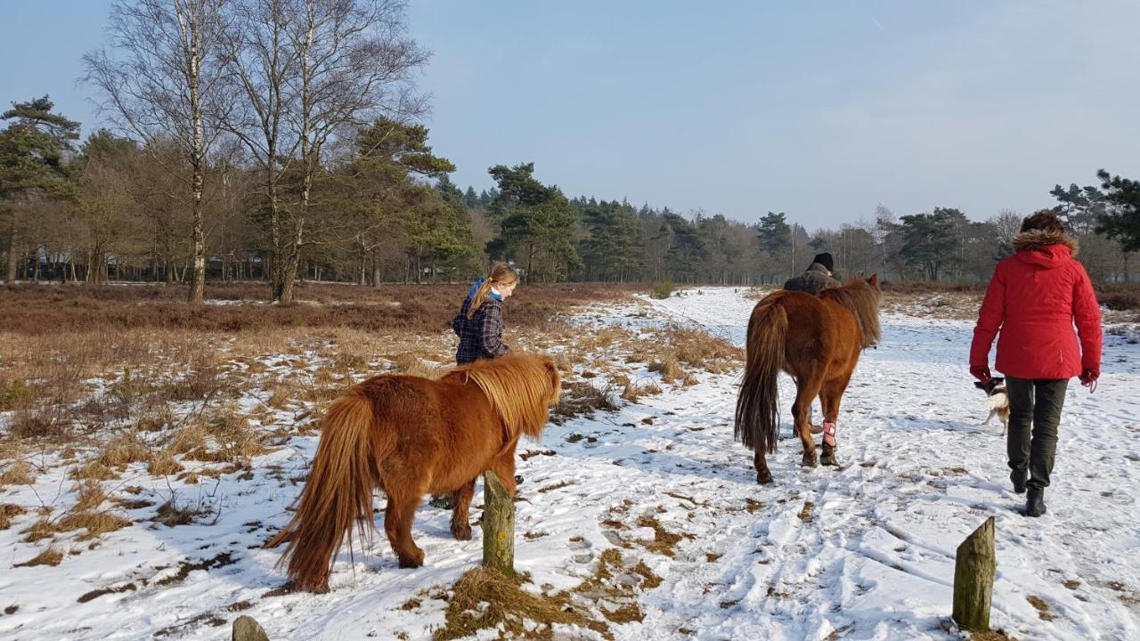 Chalet Op De Veluwe # Berk Putten Zewnętrze zdjęcie