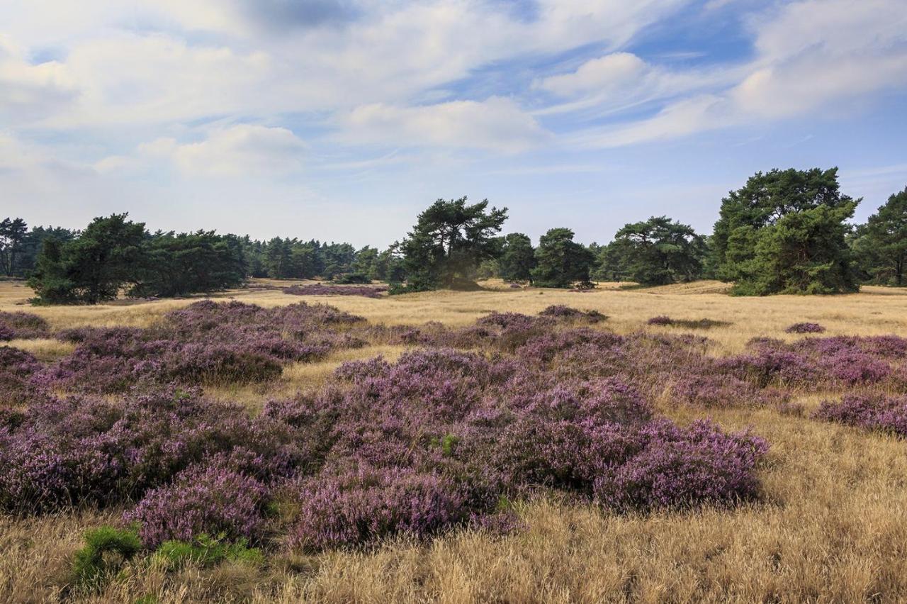 Chalet Op De Veluwe # Berk Putten Zewnętrze zdjęcie