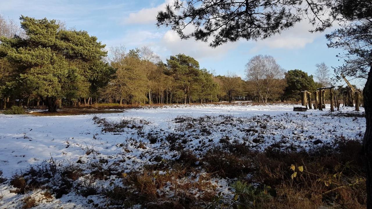 Chalet Op De Veluwe # Berk Putten Zewnętrze zdjęcie