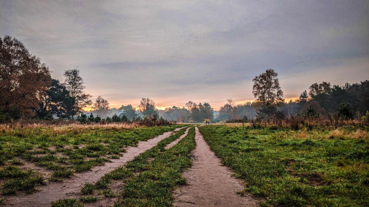 Chalet Op De Veluwe # Berk Putten Zewnętrze zdjęcie