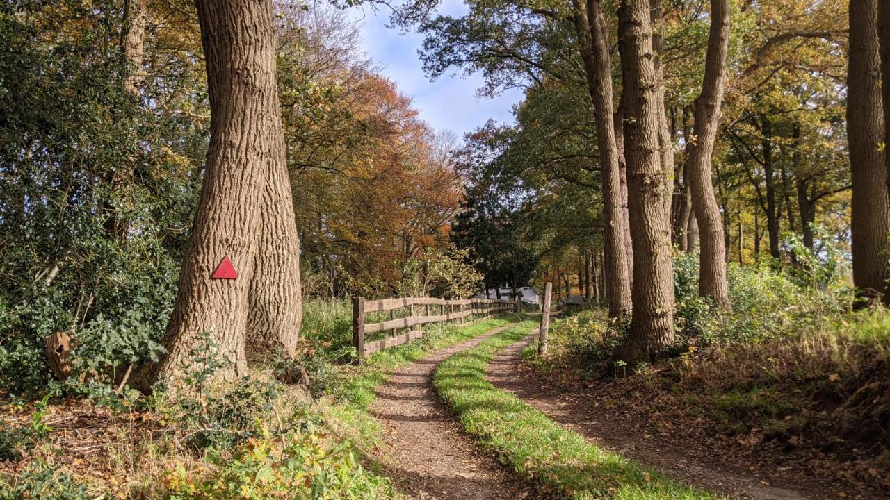 Chalet Op De Veluwe # Berk Putten Zewnętrze zdjęcie