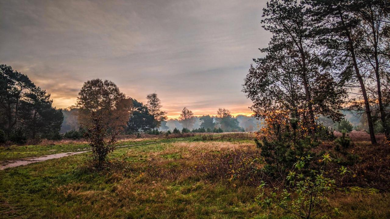 Chalet Op De Veluwe # Berk Putten Zewnętrze zdjęcie